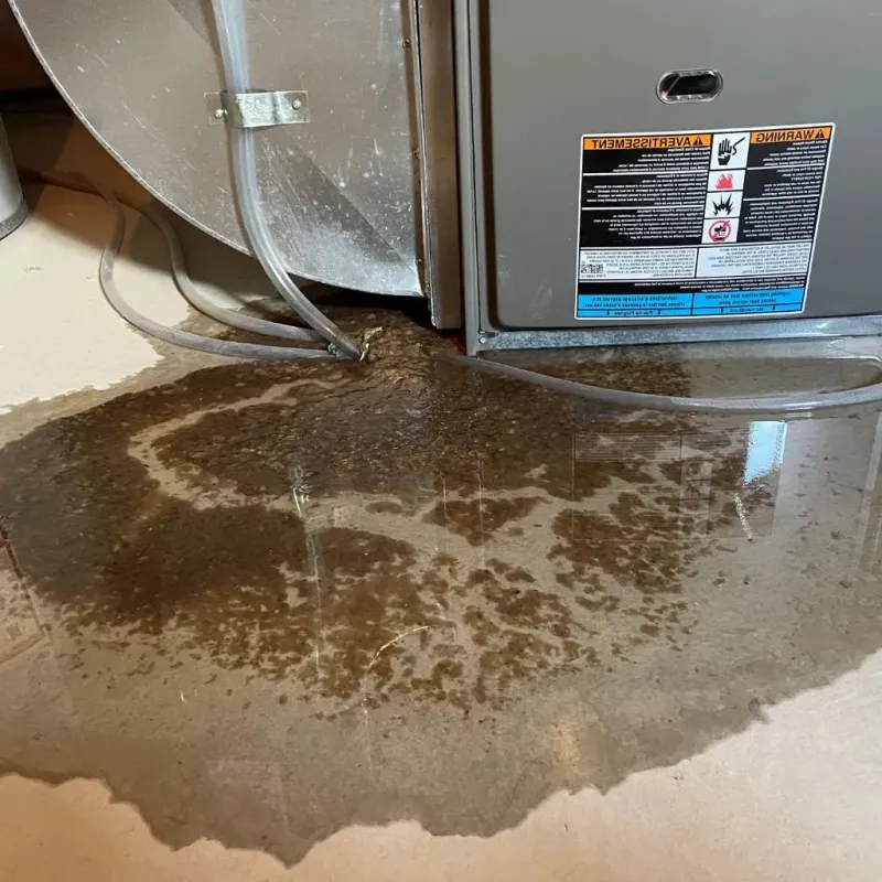 Pipe Burst and Leak Restoration in Pasadena Hills, FL