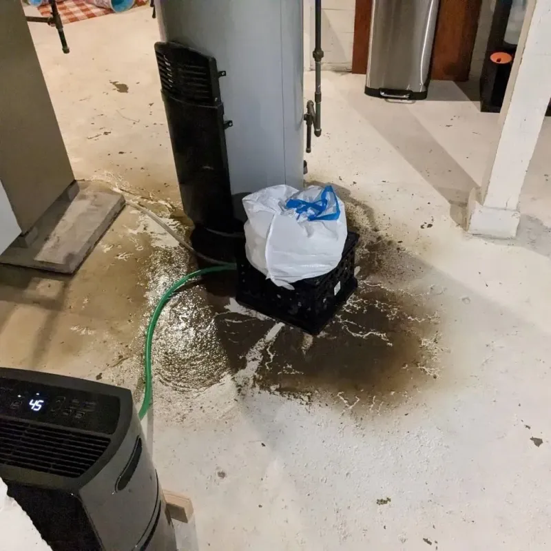 Sewage Backup Cleanup Service in Pasadena Hills, FL